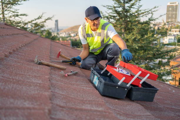 Best Hoarding Cleanup  in Ecorse, MI