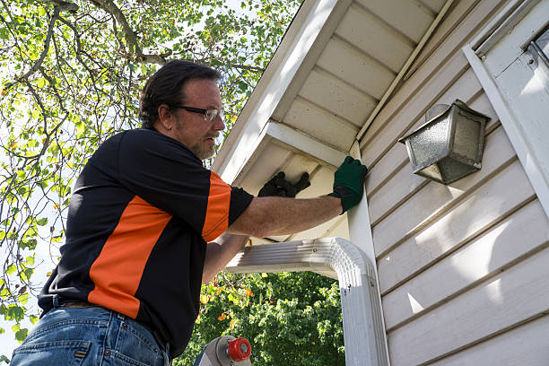 Professional Junk Removal in Ecorse, MI